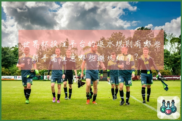 世界杯投注平台的返水规则有哪些？新手需注意哪些避坑细节？