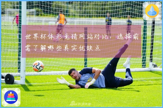 世界杯体彩竞猜网站对比，选择前需了解哪些真实优缺点