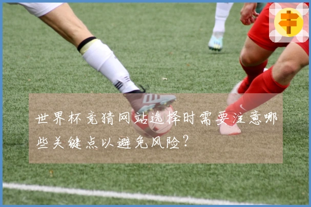世界杯竞猜网站选择时需要注意哪些关键点以避免风险？