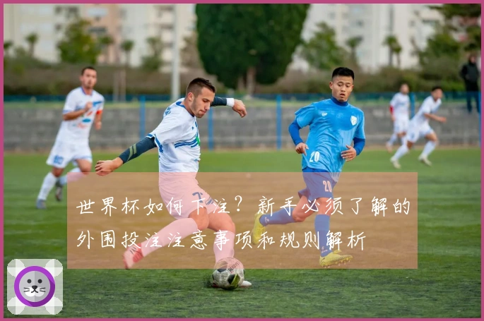 世界杯如何下注？新手必须了解的外围投注注意事项和规则解析