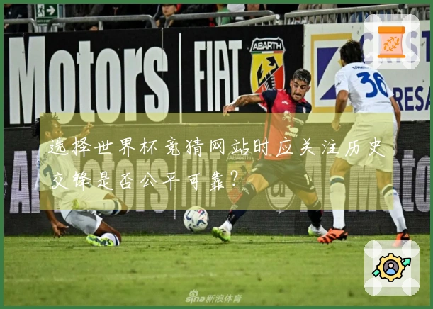 选择世界杯竞猜网站时应关注历史交锋是否公平可靠？