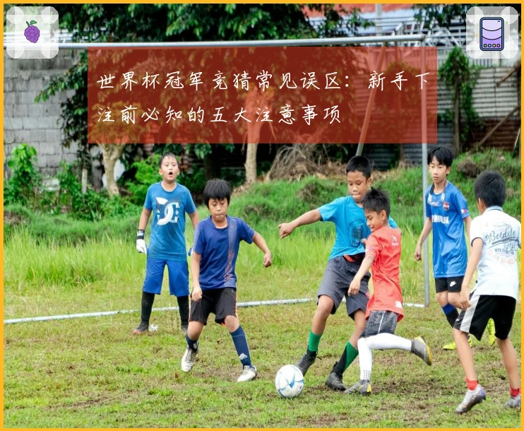 世界杯冠军竞猜常见误区：新手下注前必知的五大注意事项