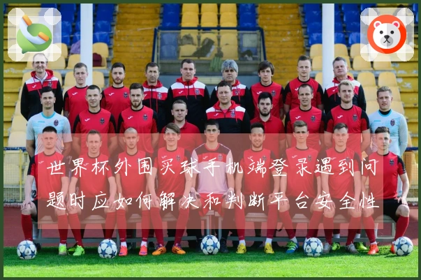 世界杯外围买球手机端登录遇到问题时应如何解决和判断平台安全性
