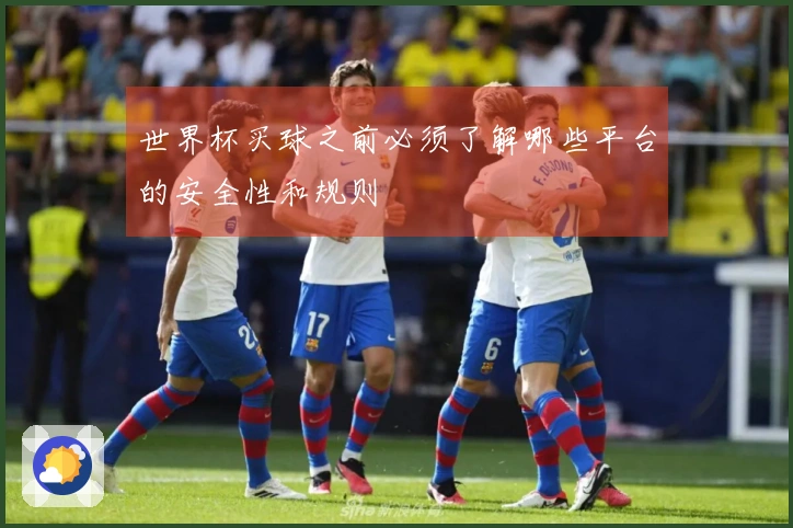 世界杯买球之前必须了解哪些平台的安全性和规则