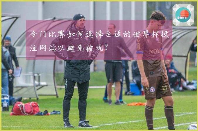 冷门比赛如何选择合适的世界杯投注网站以避免被坑？