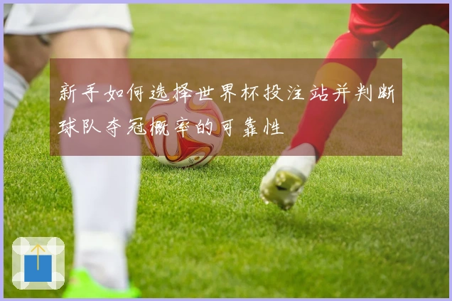 新手如何选择世界杯投注站并判断球队夺冠概率的可靠性