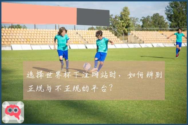选择世界杯下注网站时，如何辨别正规与不正规的平台？