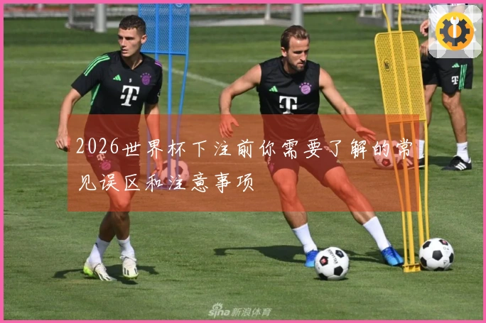 2026世界杯下注前你需要了解的常见误区和注意事项
