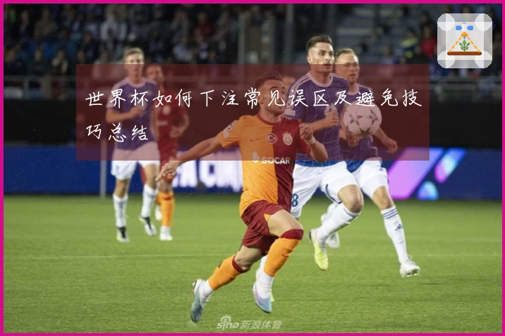 世界杯如何下注常见误区及避免技巧总结