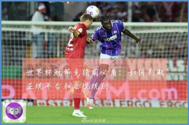 世界杯冠军竞猜前必看：如何判断正规平台和合规规则