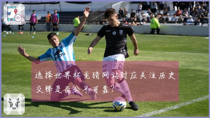 选择世界杯竞猜网站时应关注历史交锋是否公平可靠？