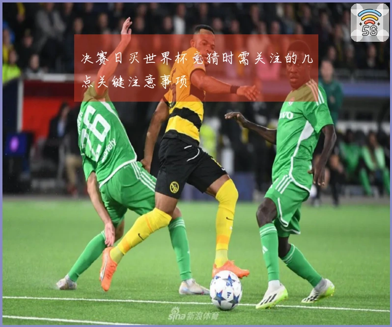 决赛日买世界杯竞猜时需关注的几点关键注意事项