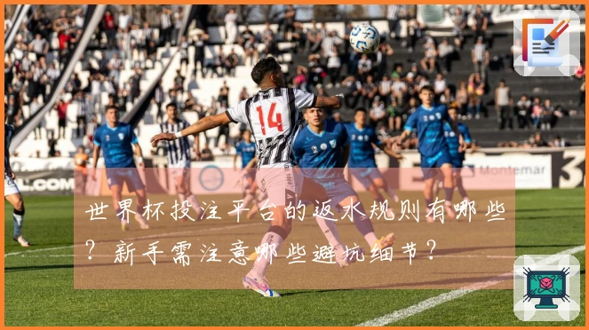 世界杯投注平台的返水规则有哪些？新手需注意哪些避坑细节？