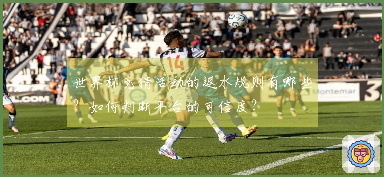 世界杯竞猜活动的返水规则有哪些？如何判断平台的可信度？
