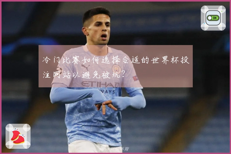 冷门比赛如何选择合适的世界杯投注网站以避免被坑？