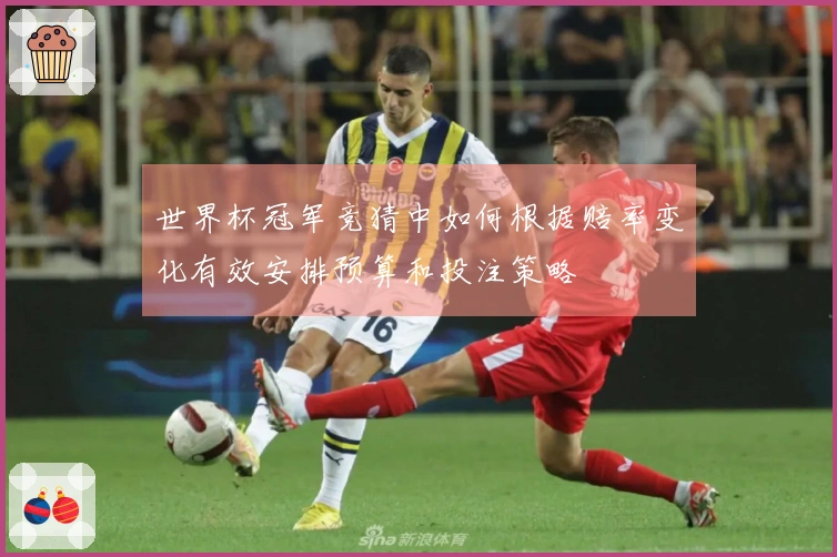 世界杯冠军竞猜中如何根据赔率变化有效安排预算和投注策略