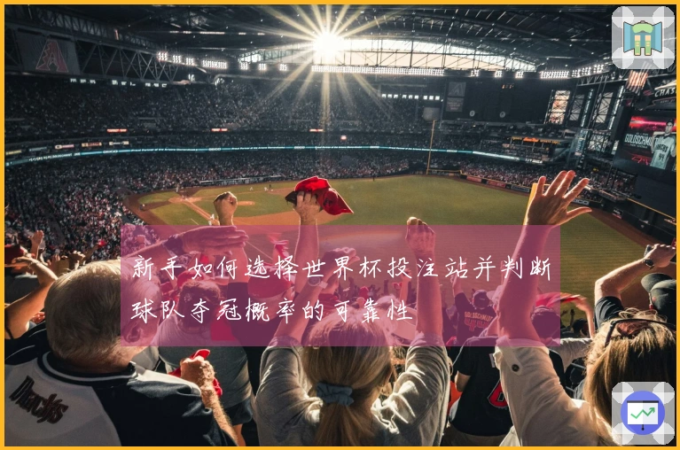 新手如何选择世界杯投注站并判断球队夺冠概率的可靠性