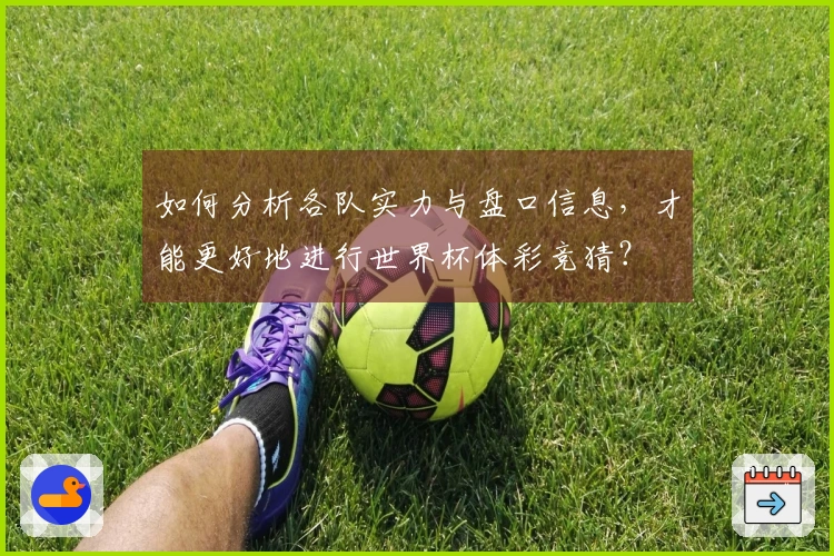 如何分析各队实力与盘口信息，才能更好地进行世界杯体彩竞猜？