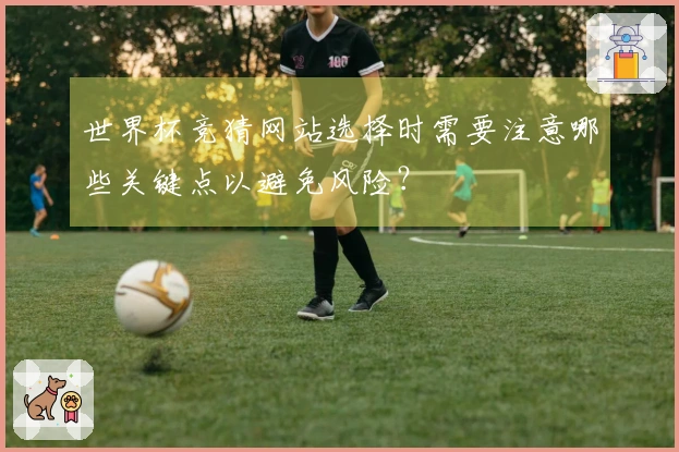 世界杯竞猜网站选择时需要注意哪些关键点以避免风险？