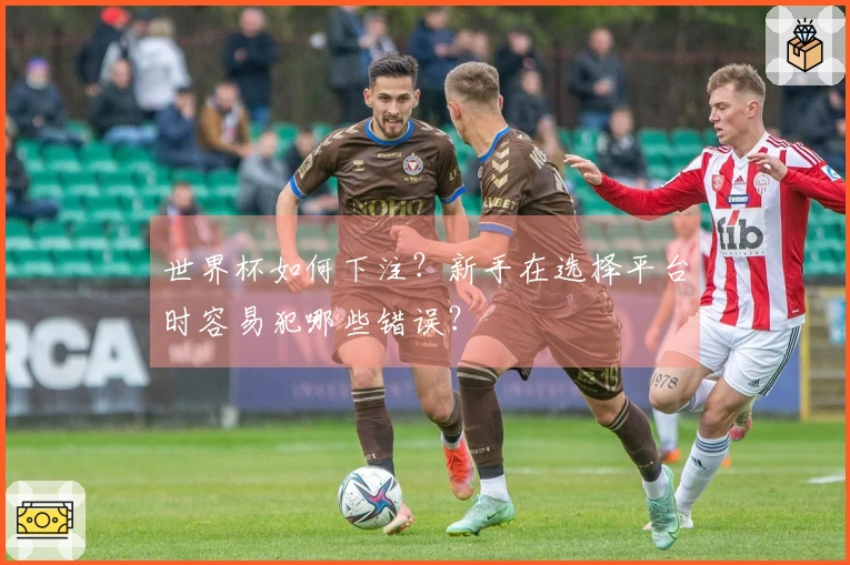 世界杯如何下注？新手在选择平台时容易犯哪些错误？