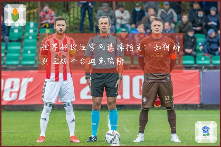 世界杯投注官网选择指南：如何辨别正规平台避免陷阱