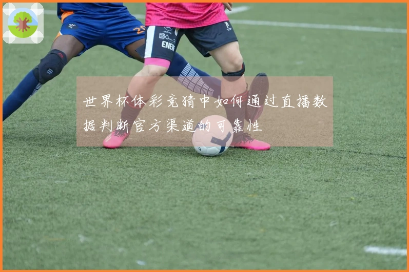 世界杯体彩竞猜中如何通过直播数据判断官方渠道的可靠性