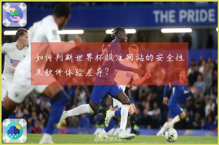 如何判断世界杯投注网站的安全性及软件体验差异？